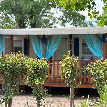 Toad&frog, Le Spot Fun D'agde En Bord De Агд