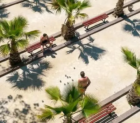 Toad&frog, Le Spot Fun D'agde En Bord De