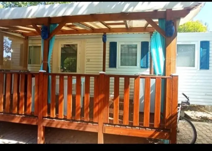 Toad&frog, Le Spot Fun D'agde En Bord De Агд