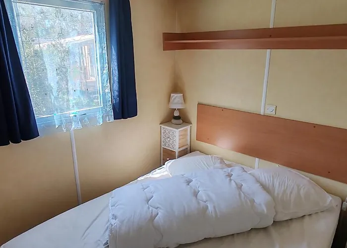 Toad&frog, Le Spot Fun D'agde En Bord De Агд