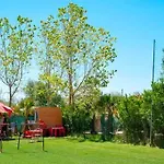 Toad&frog, Le Spot Fun D'agde En Bord De * 아그