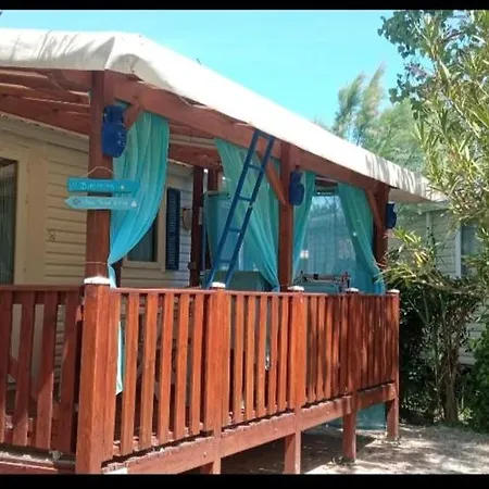 Toad&frog, Le Spot Fun D'agde En Bord De Campsite *