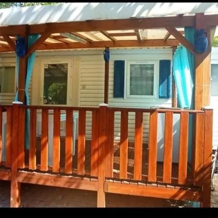 Toad&frog, Le Spot Fun D'agde En Bord De Агд