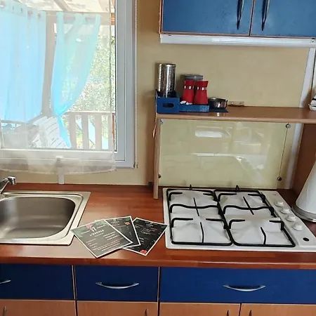 Toad&frog, Le Spot Fun D'agde En Bord De Агд