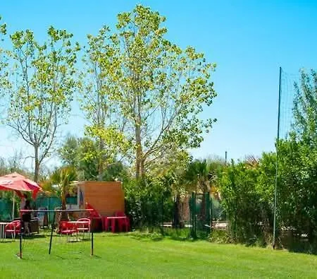 Toad&frog, Le Spot Fun D'agde En Bord De * 아그