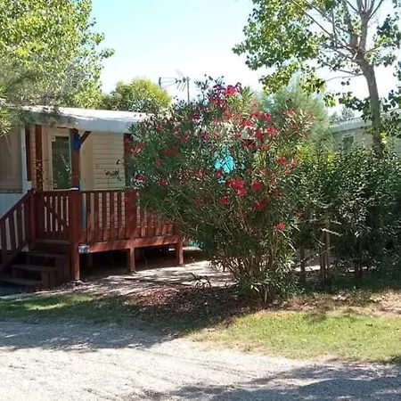 Campsite Toad&frog, Le Spot Fun D'agde En Bord De *