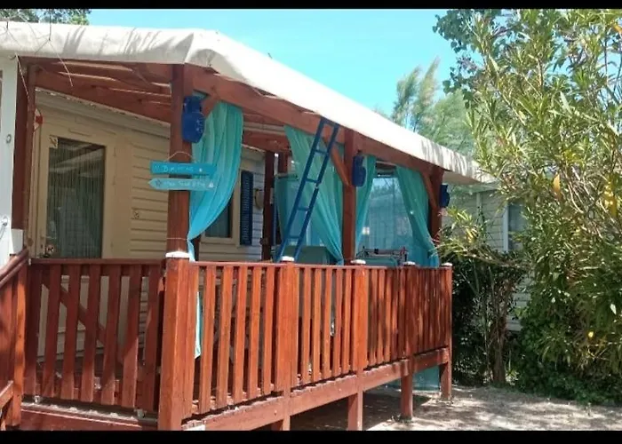 Toad&frog, Le Spot Fun D'agde En Bord De Campsite *