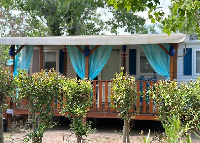 Toad&frog, Le Spot Fun D'agde En Bord De Agde