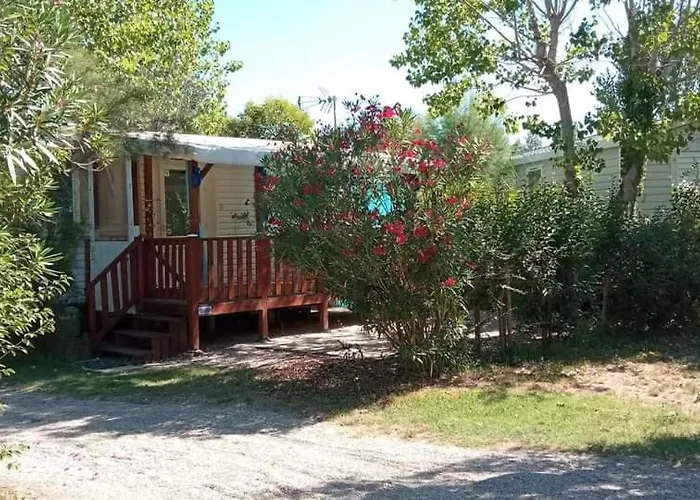 Campsite Toad&frog, Le Spot Fun D'agde En Bord De *